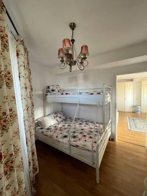 Central Apartment With Panoramic View 브라쇼브 외부 사진